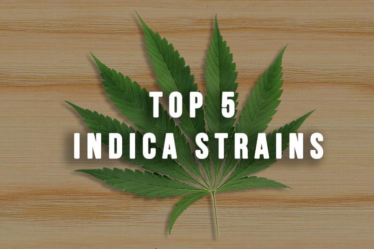 Top 5 Indica Strains To Buy Online In USA 1 Blog - Top 5 Indica Strains