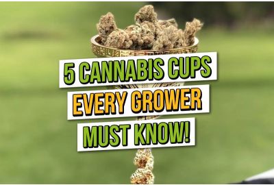 5 Cannabis Cup de las que quizás no hayas oído hablar
