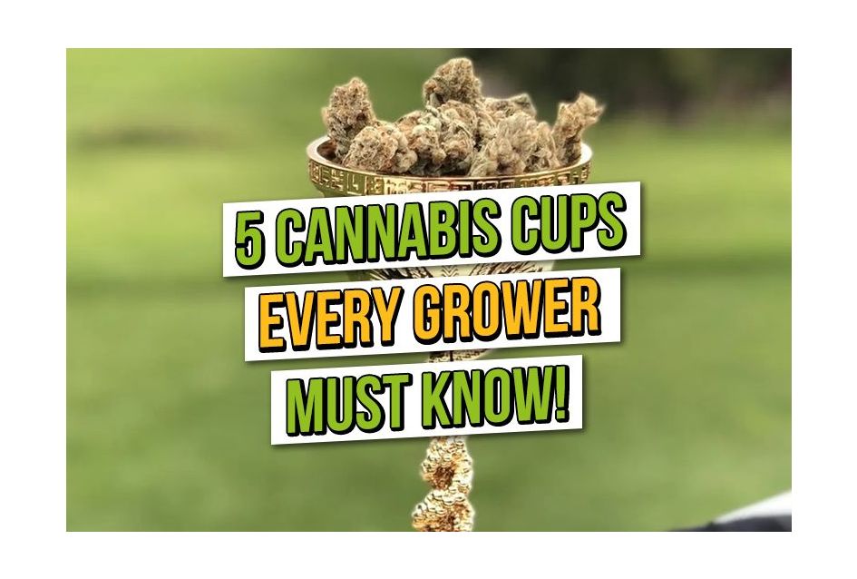 5 Cannabis Cup you might not have heard about