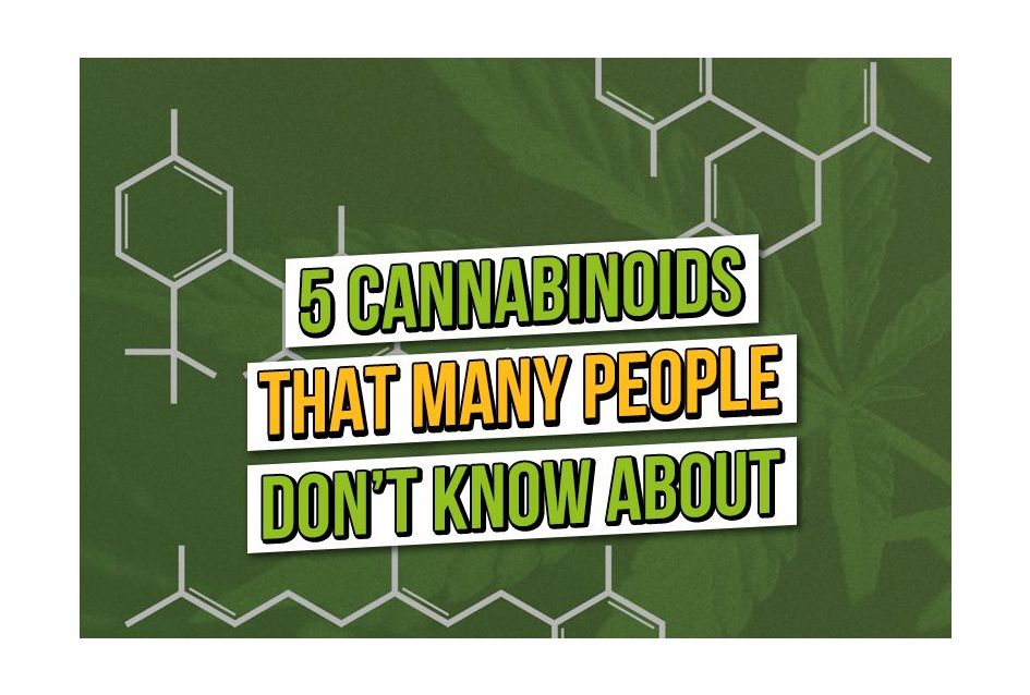 5 Lesser Known Cannabinoids