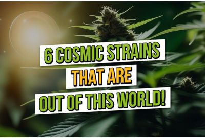 6 variétés de cannabis cosmiques