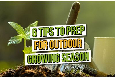 Six Tips to Prep for Outdoor Growing Season