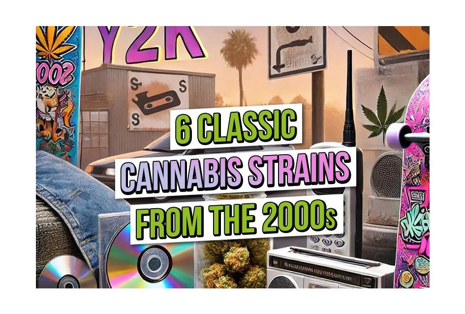 6 Classic Cannabis Strains from the 2000s