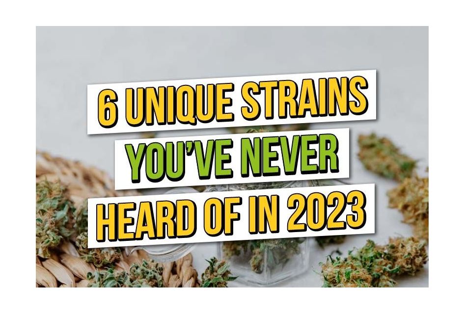 Sechs einzigartige Cannabissorten, von denen Sie wahrscheinlich noch nie gehört haben