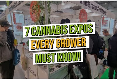 7 exposiciones de cannabis que todo cultivador debería visitar