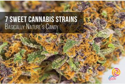 7 Sweet Cannabis Strains Your Dentist Recommends To Avoid