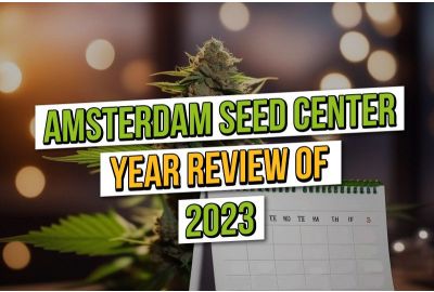 Amsterdam Seed Center: A Year in Cannabis 2023