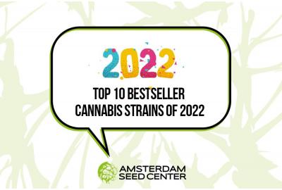 10 variétés de cannabis les plus vendues de 2022