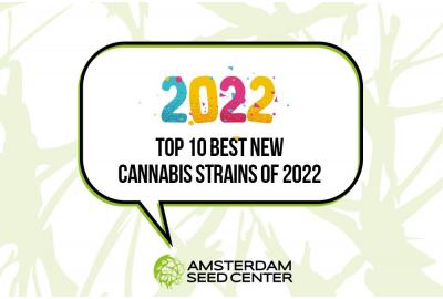 10 populairste nieuwe cannabissoorten van 2022
