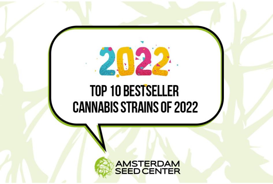 Die 10 Bestseller-Cannabissorten des Jahres 2022