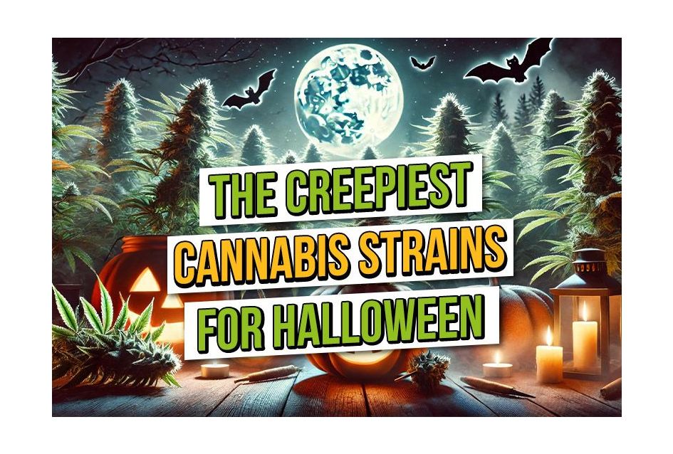 The Creepiest Cannabis Strains for Halloween