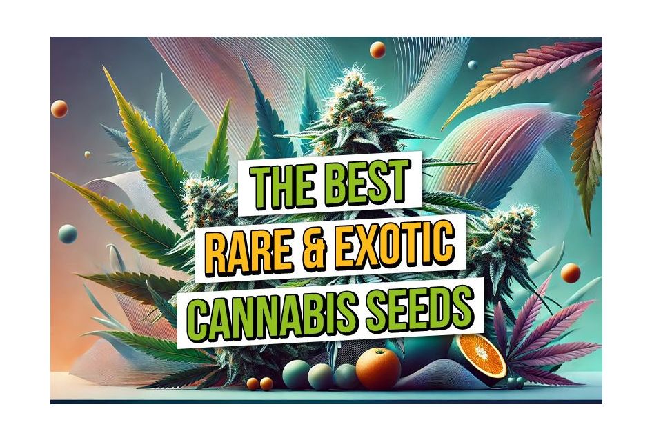 The Best Rare and Exotic Cannabis Strains