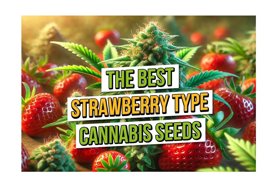 The Best Strawberry Cannabis Strains