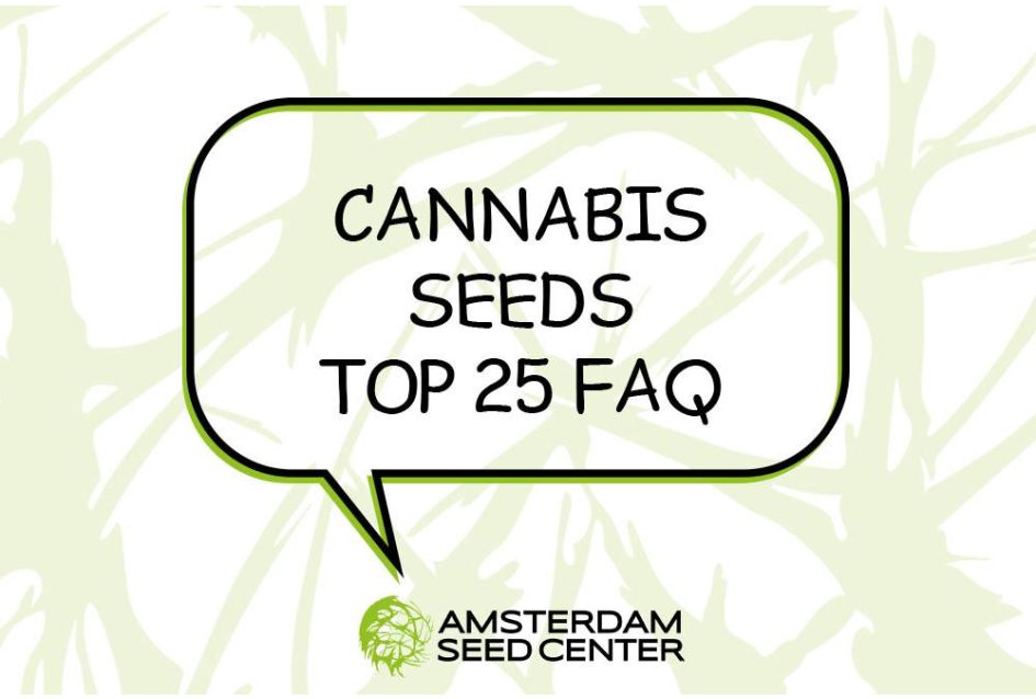25 Frequently Asked Questions + Answer about Cannabis Seeds