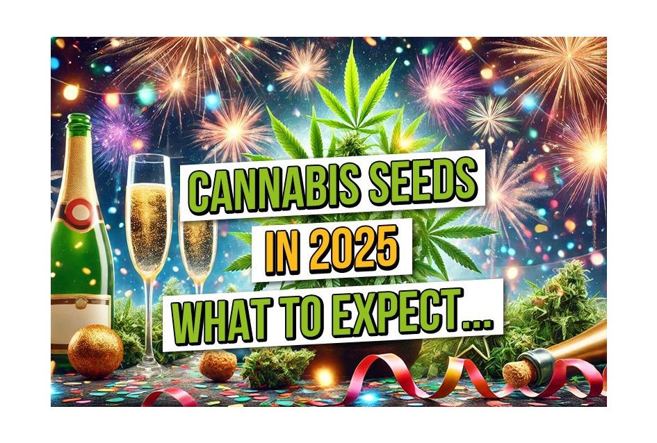 Cannabis 2025: What To Expect