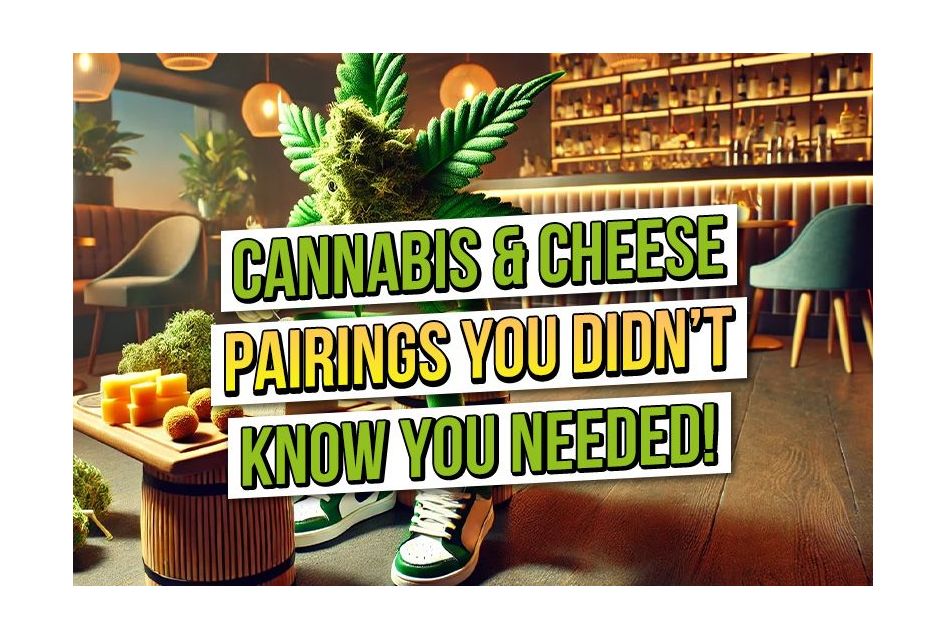 Cannabis and Cheese Pairings You Didn’t Know You Needed