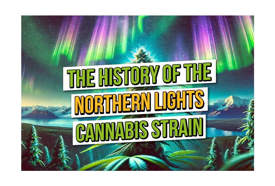 Light Up, Light Up, A Short History of Northern Lights
