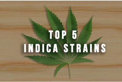 Top 5 Indica Strains