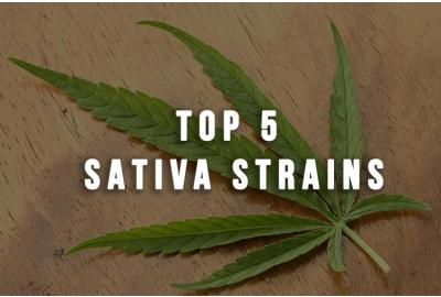 Our Top 5 Sativa Strains To Buy Online In 2021 1 Top 5 Sativa Strains
