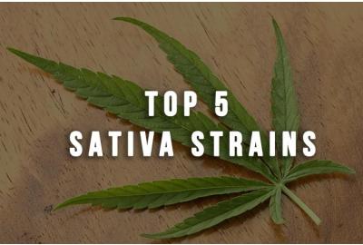 Top 5 Sativa Strains