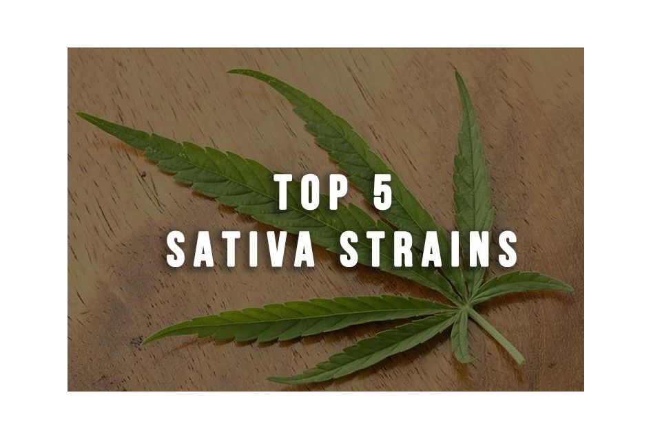 Top 5 Sativa Strains