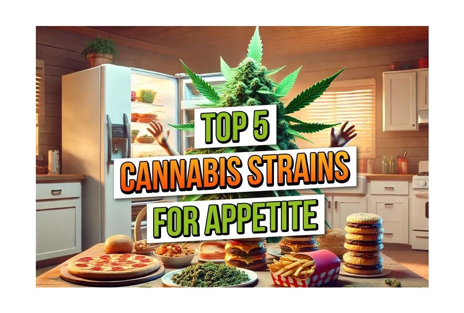 A poster-style image featuring a muscular cannabis plant in a gym setting with the headline “Top 5 Strongest Autoflower Strains of 2025.” Surrounded by barbells, kettlebells, and grow lights, the visual promotes potent autoflowering cannabis varieties in 