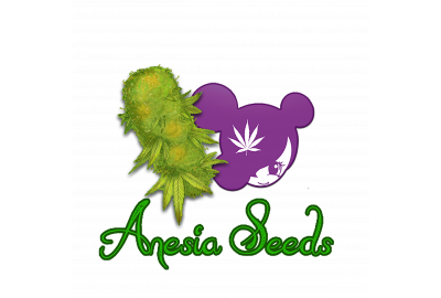 Anesia Seed company logo