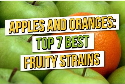 Appels en Sinaasappels: Top 7 Beste Fruitige Cannabiszaden