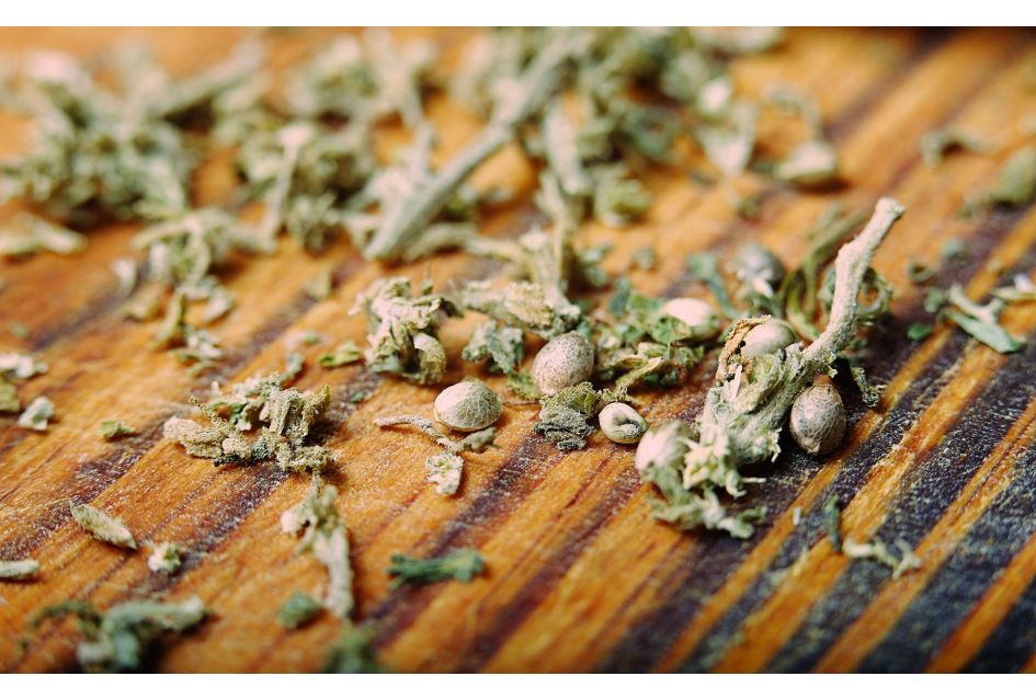Bagseeds: To Grow or Not To Grow?!