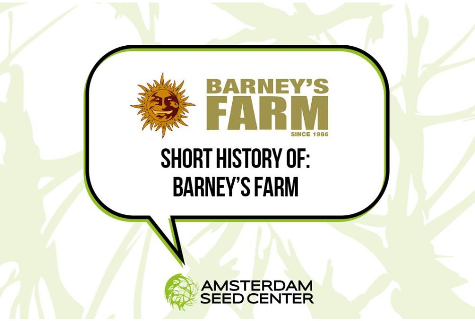 Short history of Barney's Farm