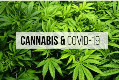 Weed and COVID-19