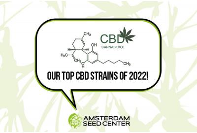 Top 5 CBD-cannabissoorten van 2022