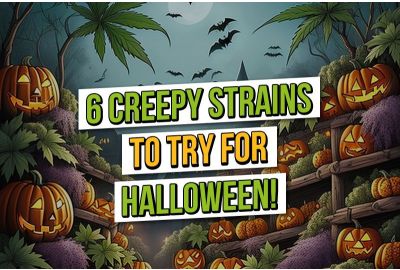 6 variedades de cannabis espeluznantes para Halloween