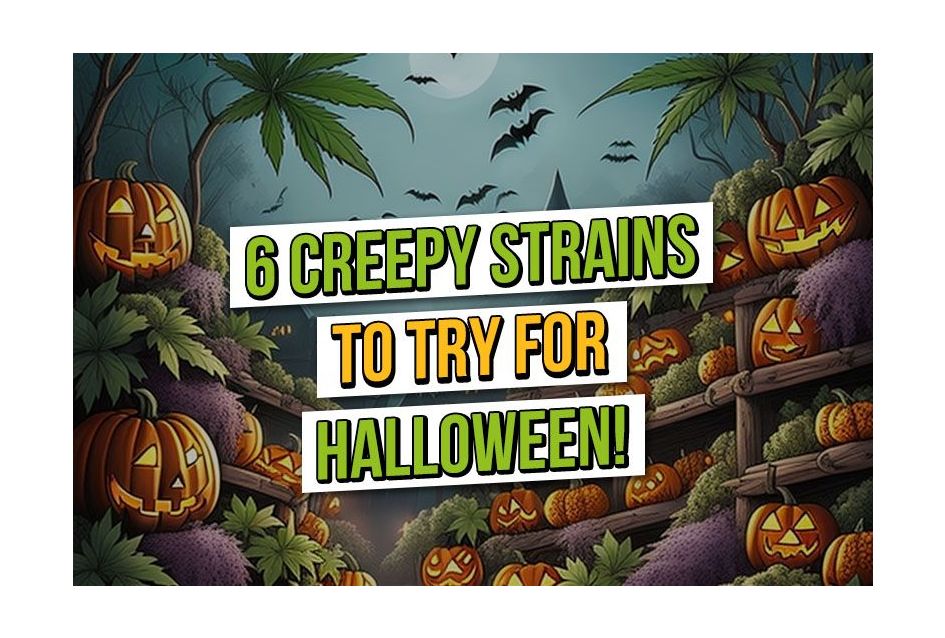 6 gruselige Cannabissorten für Halloween