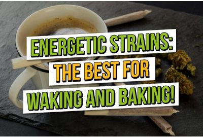 Energetische cannabissoorten: de beste cannabissoorten voor wake-and-bake