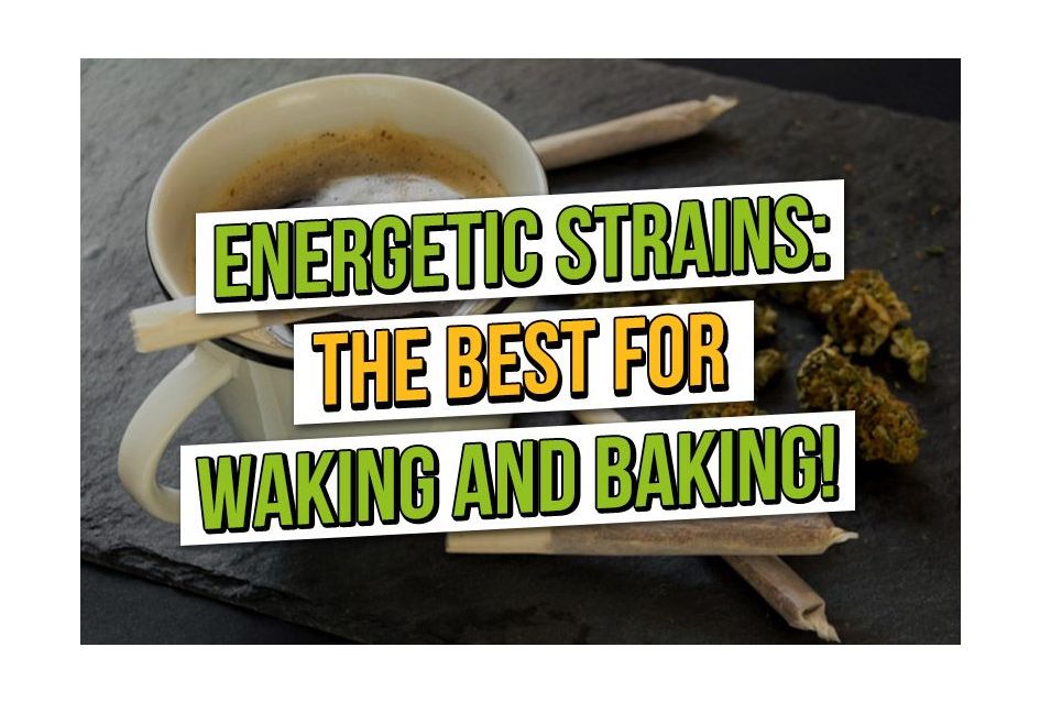 Energetic Cannabis Strains: Best cannabis strains for wake-and-bake