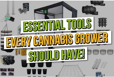 The Top 10 Essential Tools Every Grower Needs for an Effortless and Successful Cultivation Journey