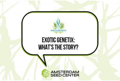 Exotic Genetix: What's the story?