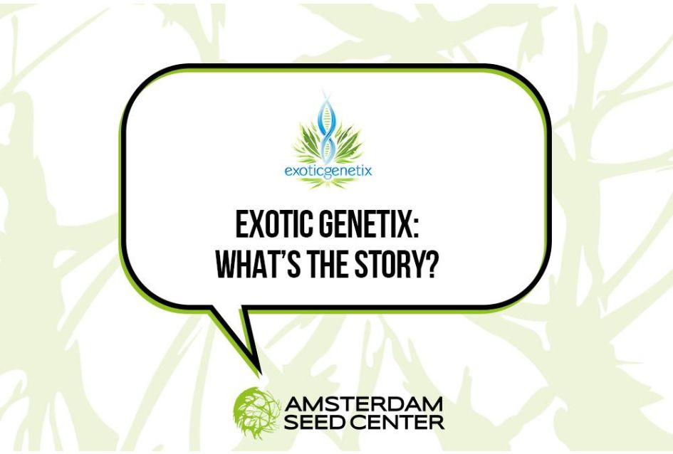 Exotic Genetix: Wat is het verhaal?