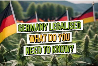 Germany Legalised: What you need to know.