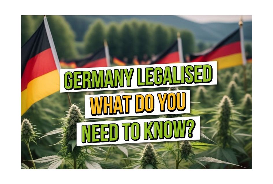 Allemagne Légalisée : ce que vous devez savoir.
