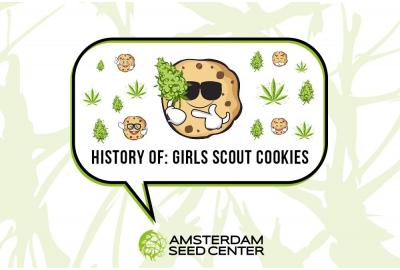 A Short History of the Girl Scout Cookies strain and our Top 5 Cookies strains