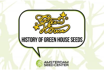 Geschiedenis van Green House Seeds Co en Top 3-soorten