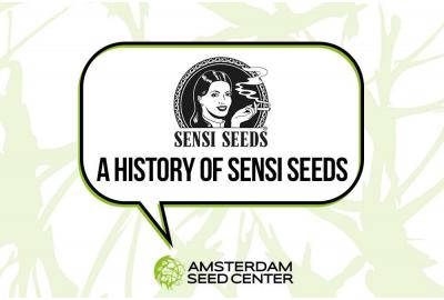 History of: Sensi Seeds + Top 3 Sensi Seeds strains