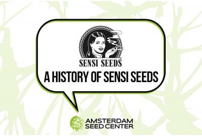 History of: Sensi Seeds + Top 3 Sensi Seeds strains