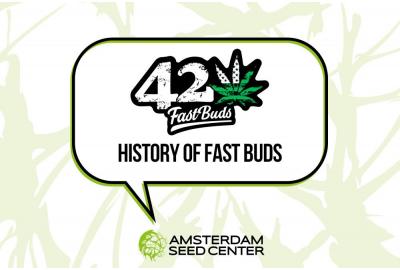 History of Fast Buds + Top 3 Strains