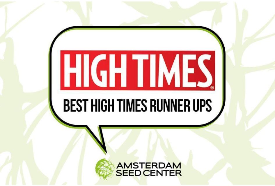 Best of High Times Cup Runners up