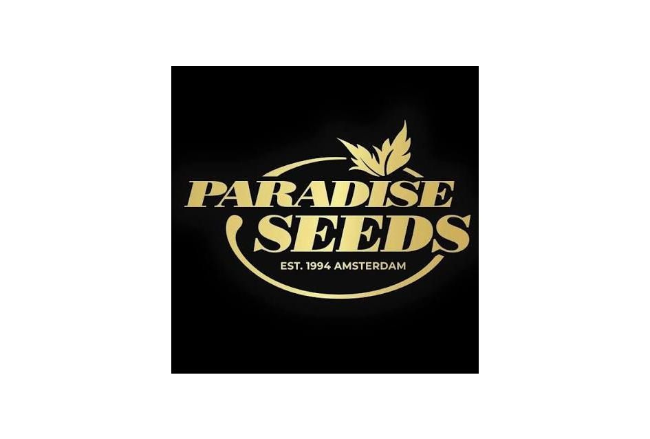 Geschiedenis van Paradise Seeds + Top 3 soorten