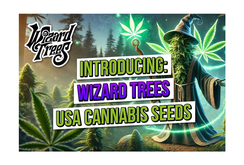 Introducing: Wizard Trees USA Cannabis Seeds 