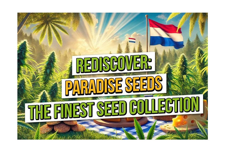 Rediscover Paradise Seeds and the Finest Seed Collection